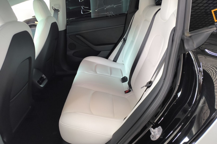 Tesla Model 3 2023 car image #17