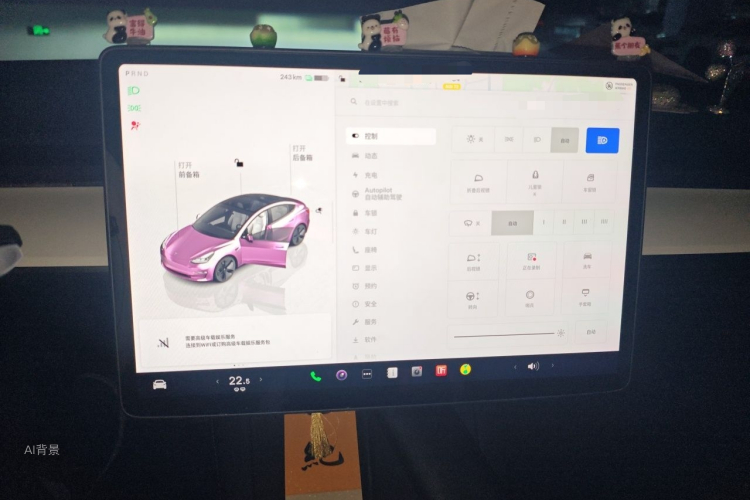 Tesla Model 3 2022 #13 Tesla Model 3 2022 car image #13