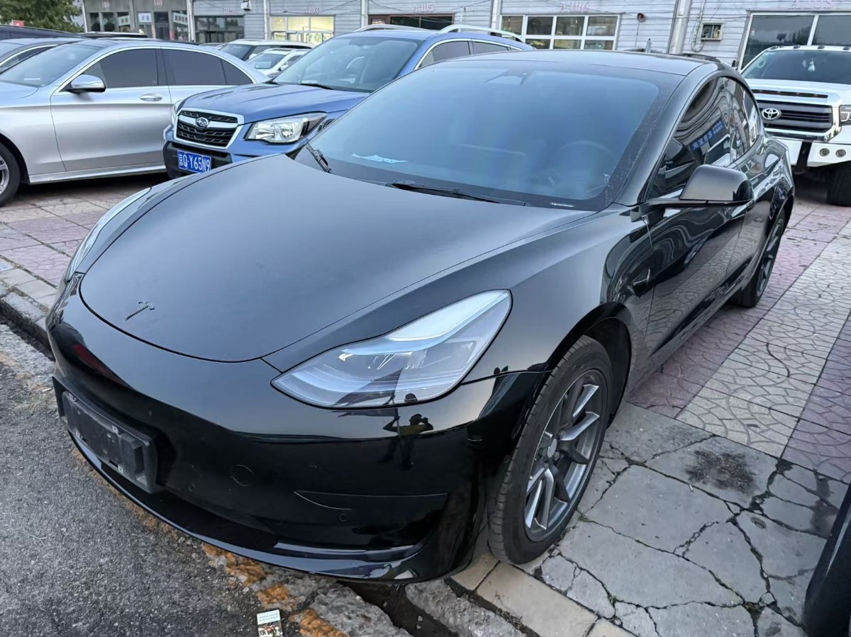 Tesla Model 3 2022 car image 