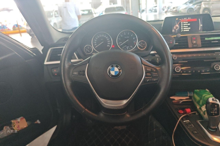 BMW 3 Series 2016 car image #12