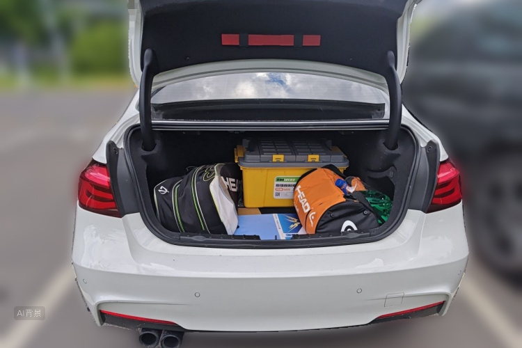 BMW 3 Series 2019 car image #21
