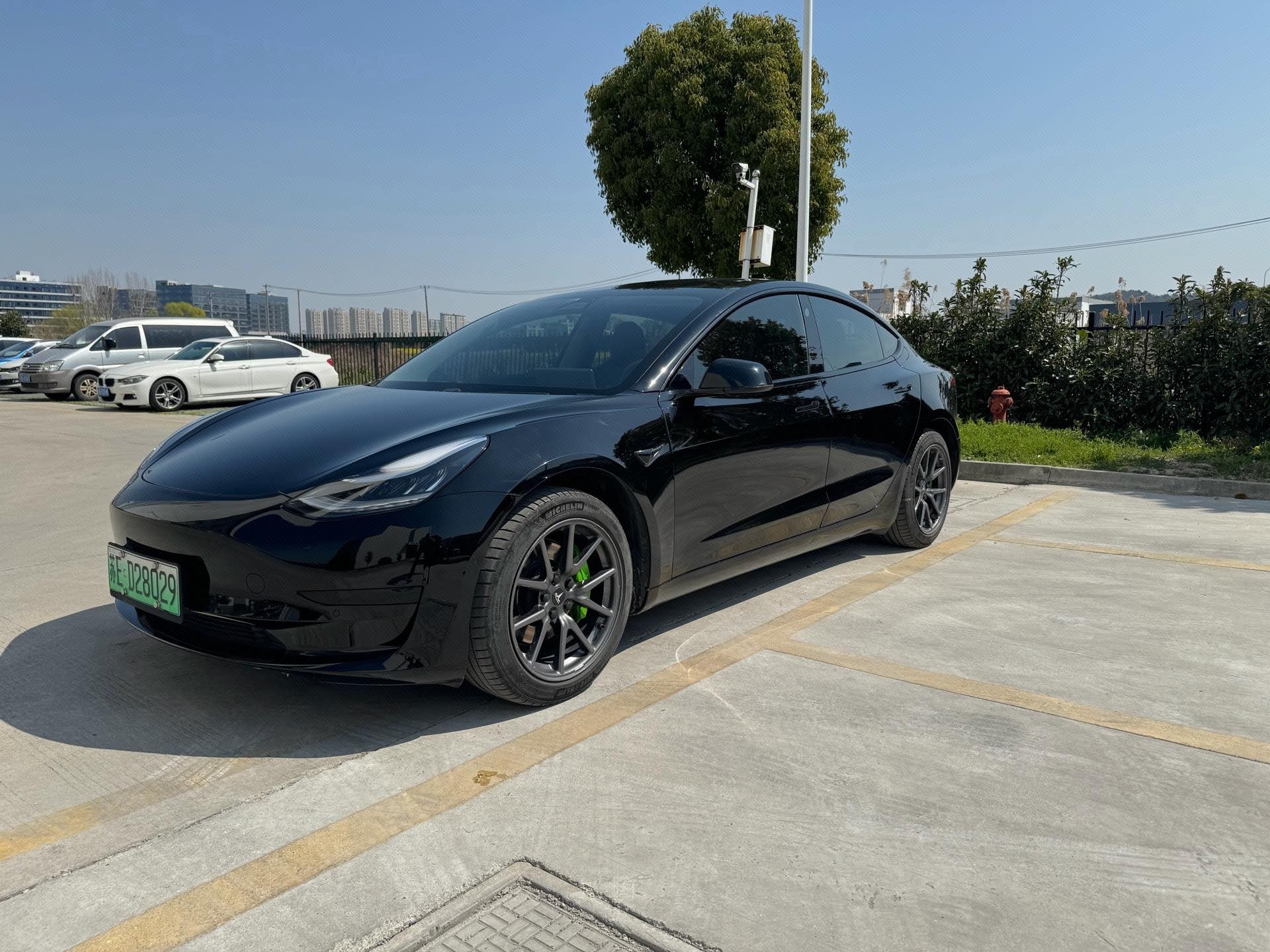 Tesla Model 3 2020 car image 
