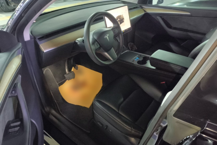 Tesla Model Y 2022 car image #16