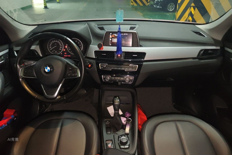 BMW X1 2016 car image #11