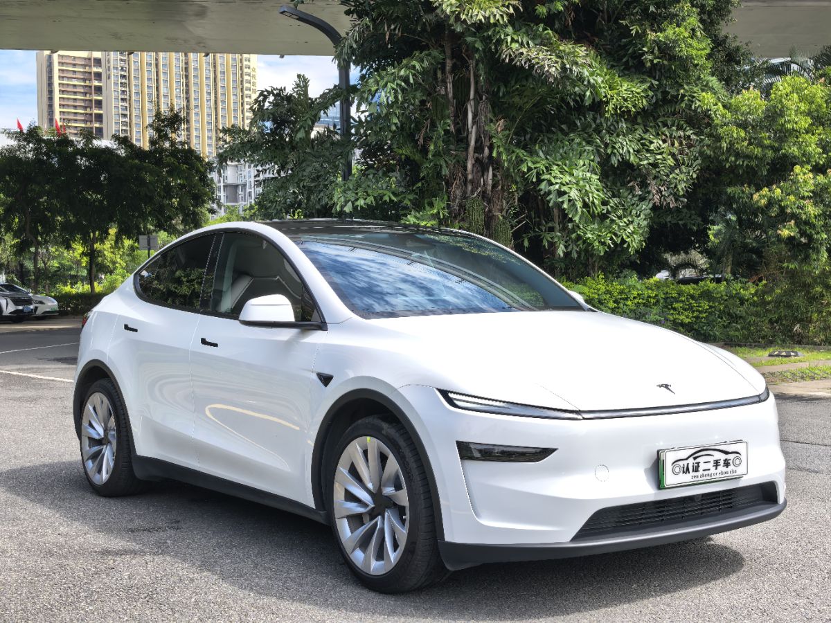 Tesla Model Y 2025 car image #3