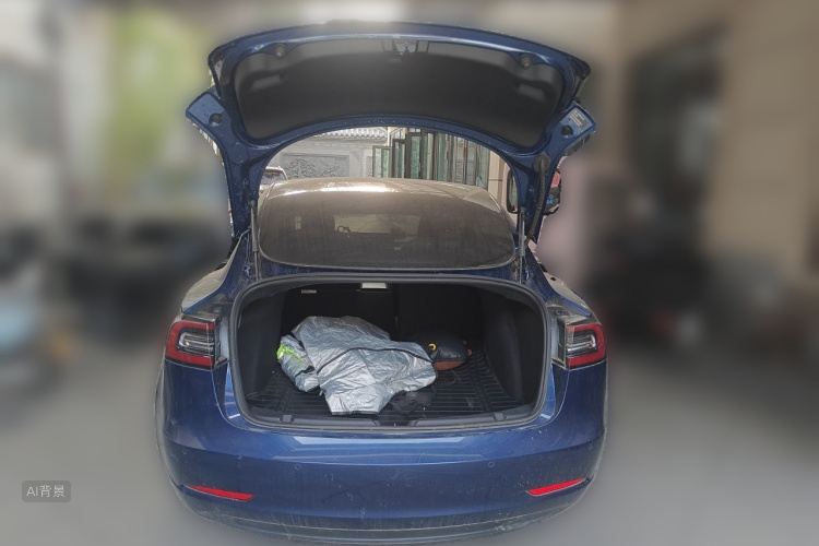 Tesla Model 3 2020 #21 Tesla Model 3 2020 car image #21