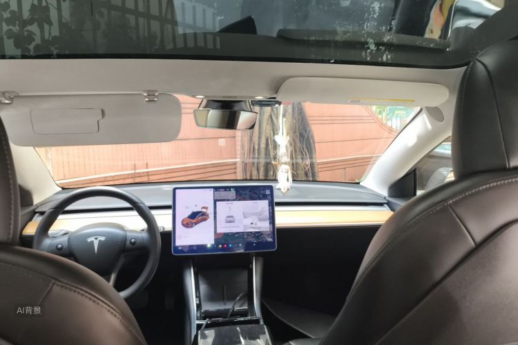 Tesla Model 3 2020 #20 Tesla Model 3 2020 car image #20