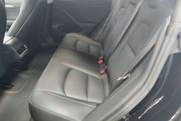 Tesla Model 3 2021 #17 Tesla Model 3 2021 car image #17