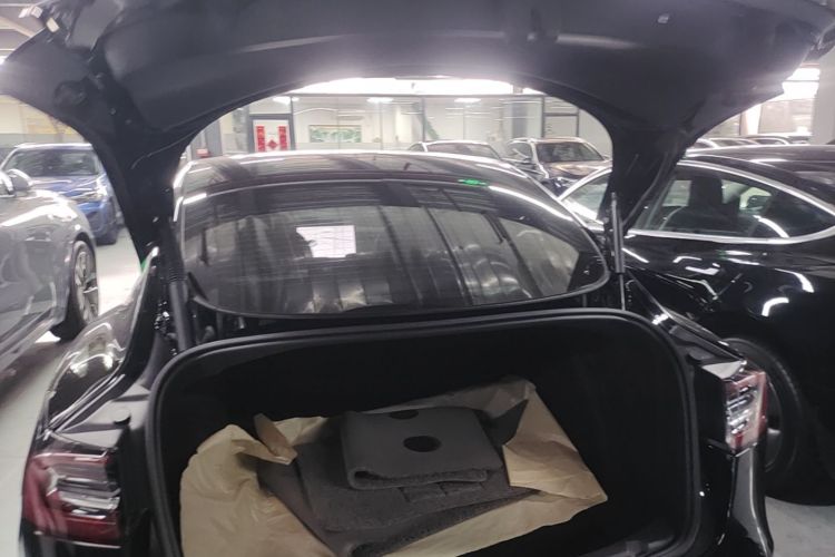 Tesla Model 3 2021 #19 Tesla Model 3 2021 car image #19