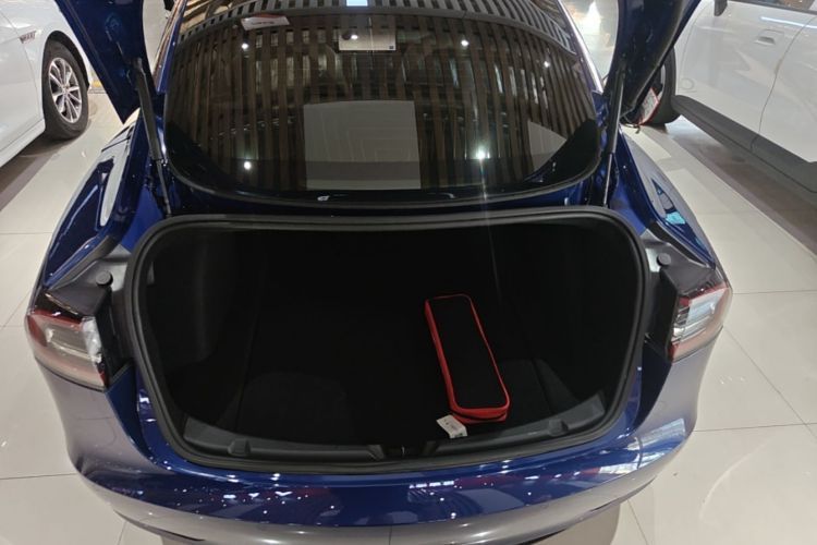 Tesla Model 3 2020 #21 Tesla Model 3 2020 car image #21
