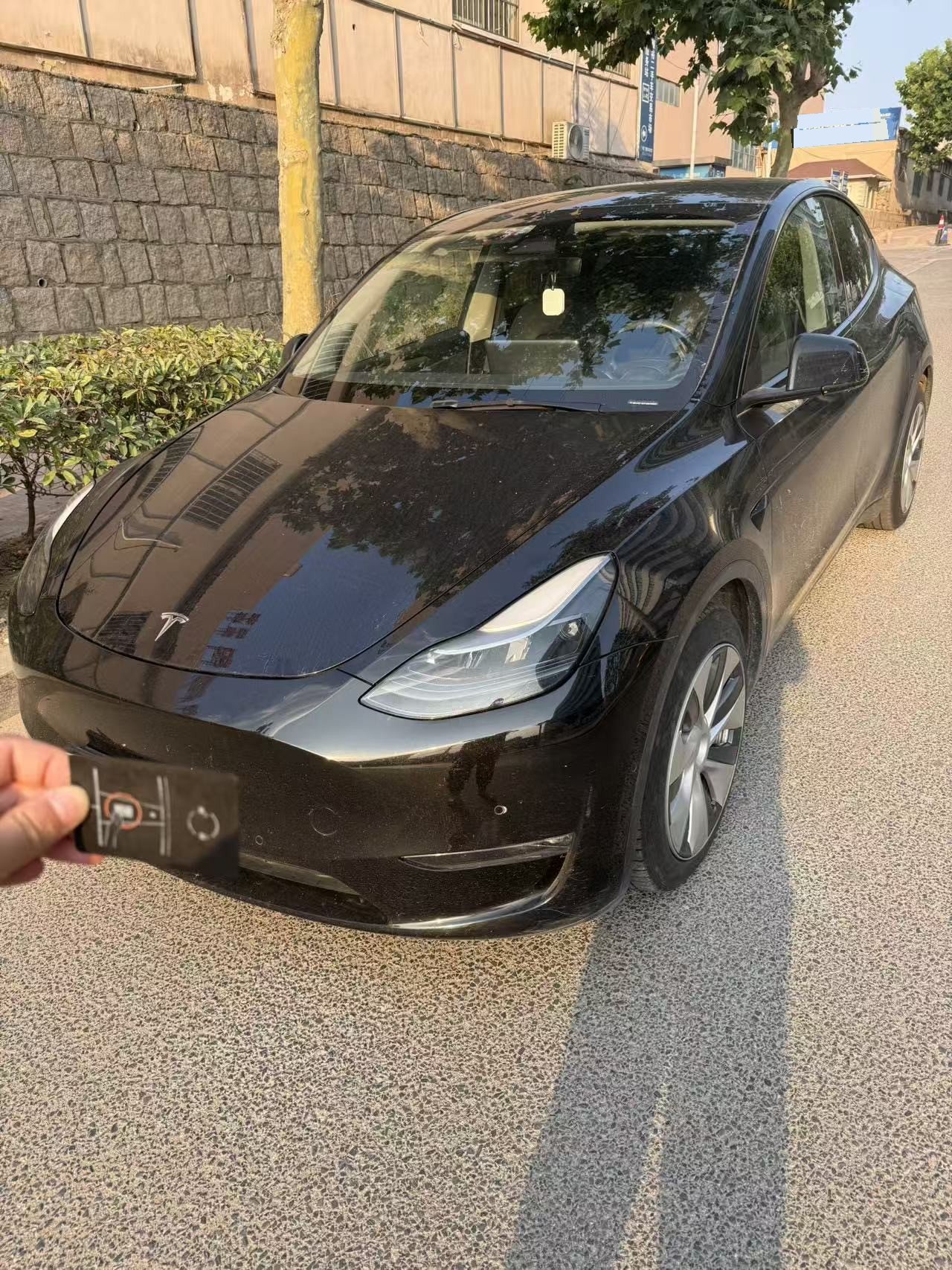Tesla Model Y 2021 Tesla Model Y 2021 car image