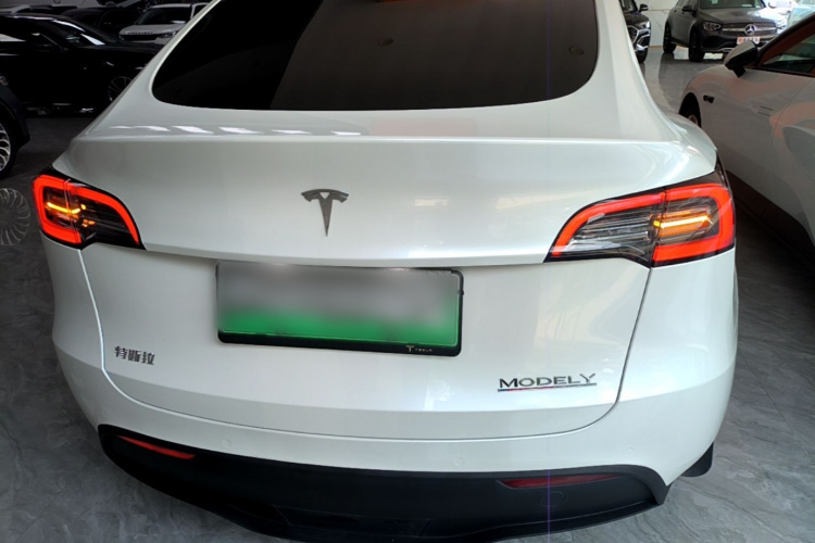 Tesla Model Y 2023 car image #6