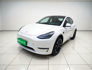 Tesla Model Y 2022 Tesla Model Y 2022 car image