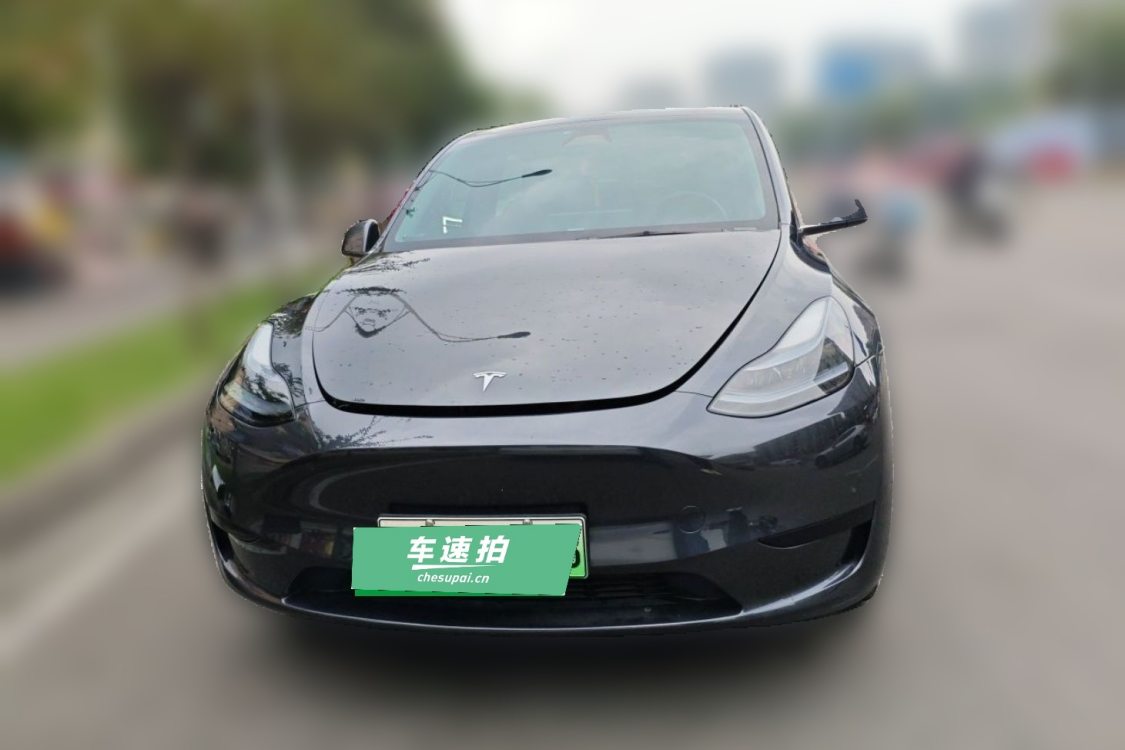 Tesla Model Y 2024 car image #5