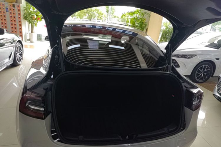 Tesla Model 3 2020 #19 Tesla Model 3 2020 car image #19