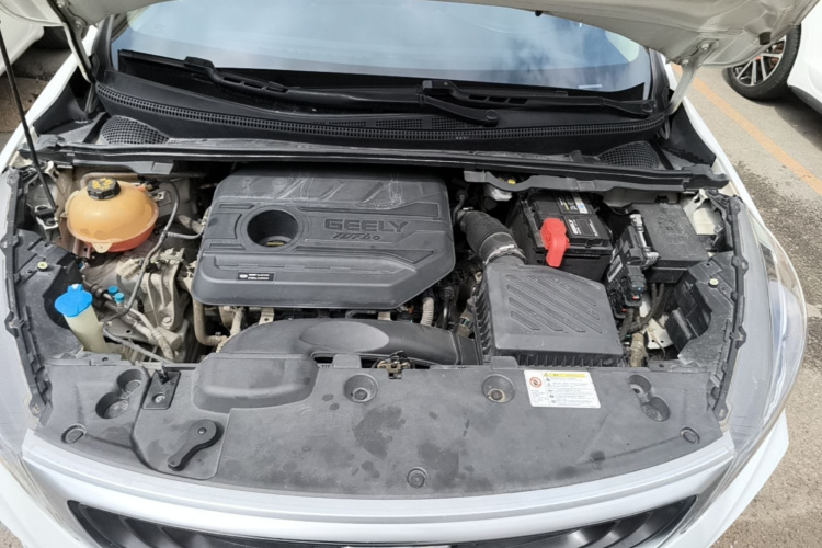 GEELY Emgrand GS 2020 car image #20