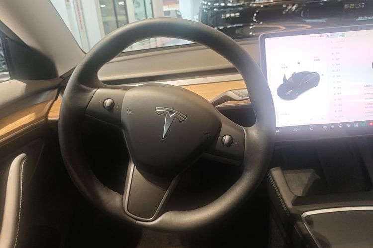 Tesla Model 3 2021 #15 Tesla Model 3 2021 car image #15