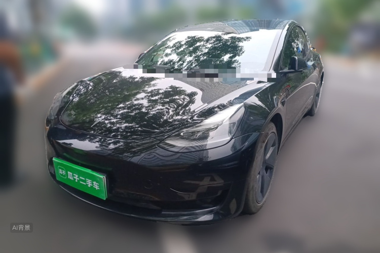 Tesla Model 3 2021 #2 Tesla Model 3 2021 car image #2