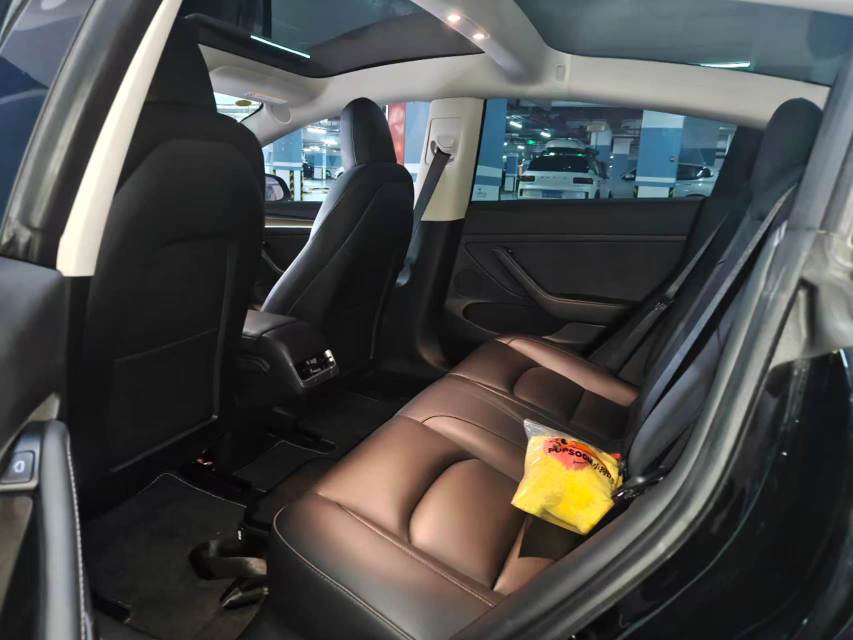 Tesla Model 3 2021 car image #3