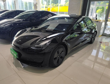 Tesla Model 3 2023 car image 