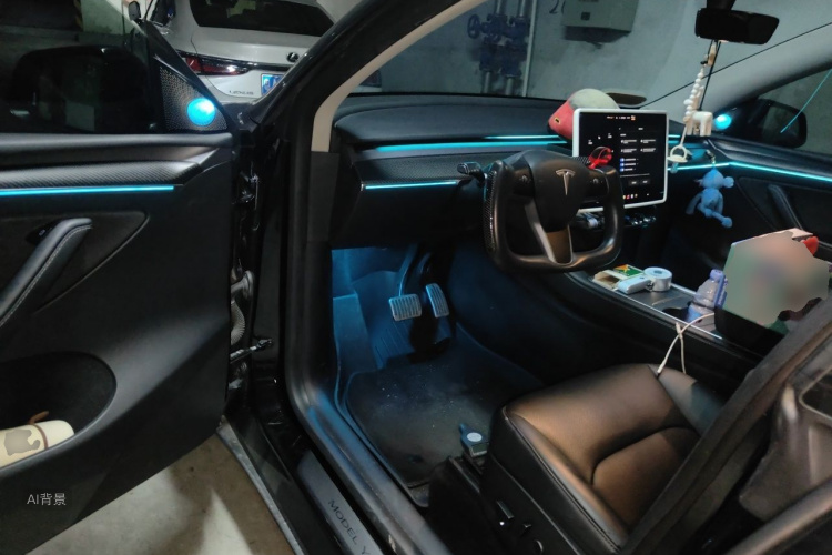 Tesla Model Y 2021 car image #18