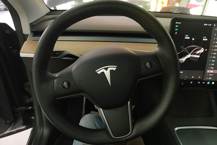 Tesla Model Y 2021 #11 Tesla Model Y 2021 car image #11
