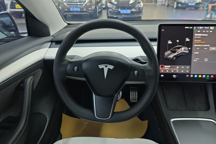 Tesla Model 3 2021 car image #11