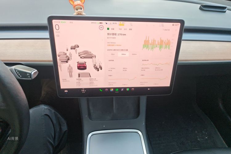 Tesla Model 3 2022 car image #15