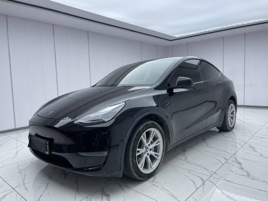 Tesla Model Y 2021 car image #3