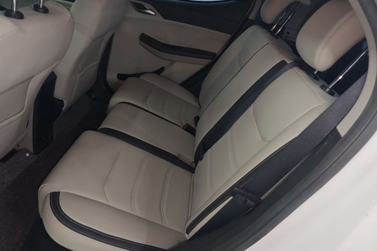 BYD Yuan Pro 2021 car image #17