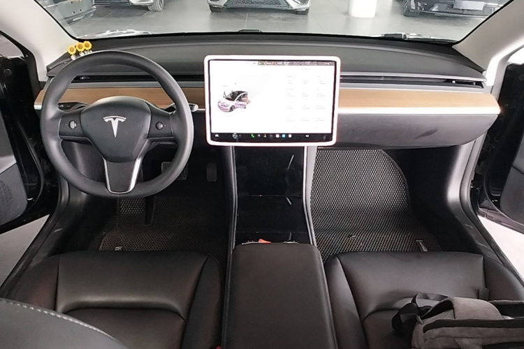 Tesla Model 3 2020 car image #10