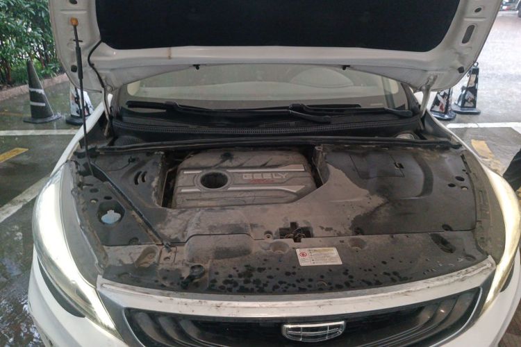 GEELY Emgrand GS 2020 #18 GEELY Emgrand GS 2020 car image #18