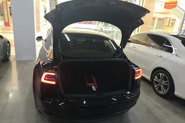 Tesla Model 3 2020 #19 Tesla Model 3 2020 car image #19