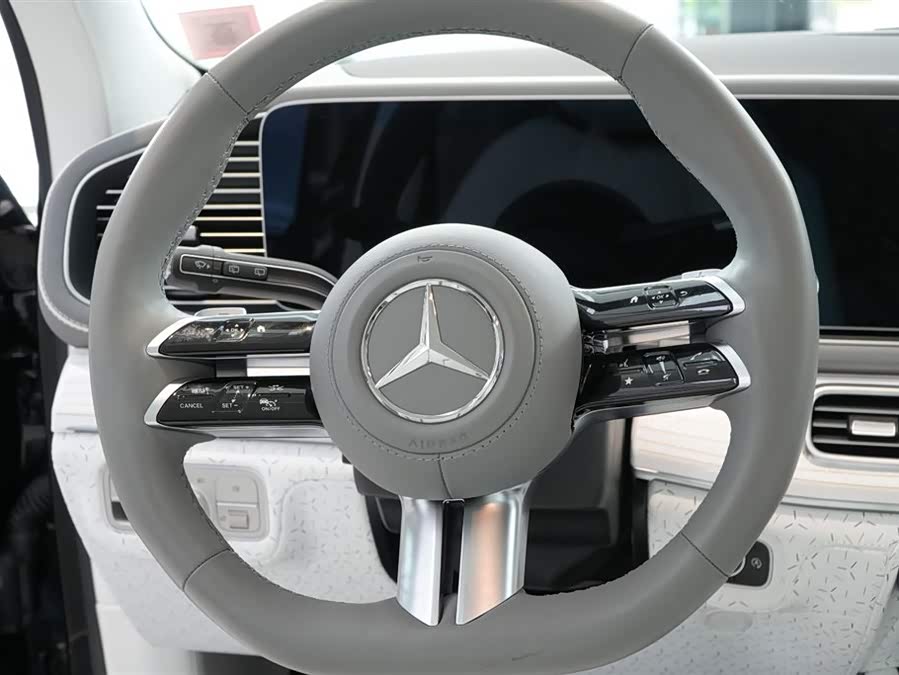 Mercedes-Benz Maybach GLS car image #19