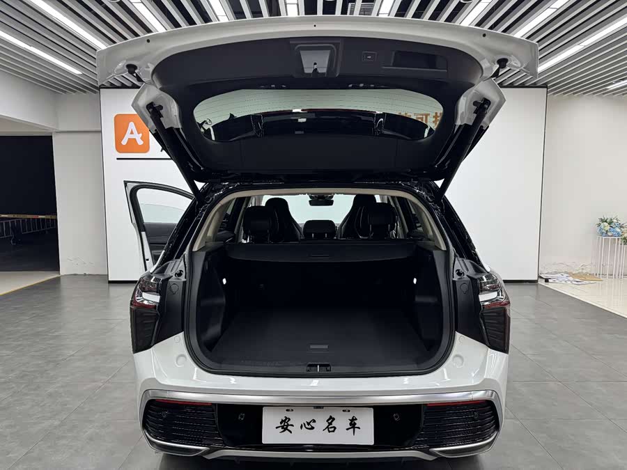 HongQi HS3 2023 imagen de coche #19