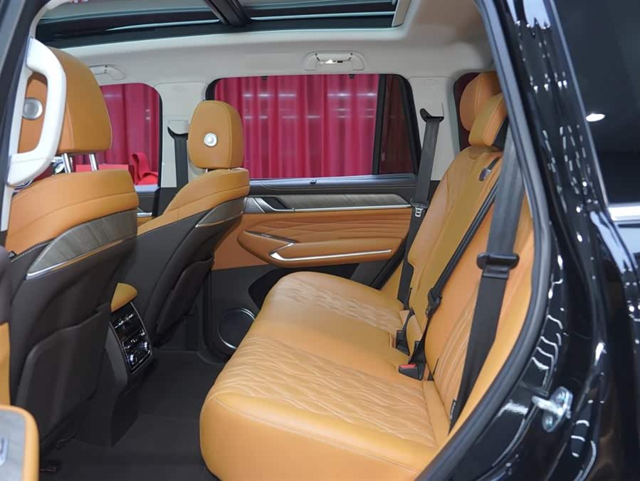 Tank 500 New Energy 2023 car image #19