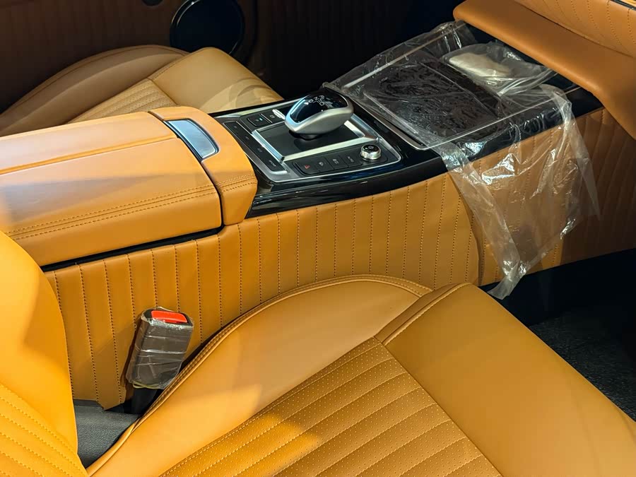 SONGSAN MOTORS SS DOLPHIN 2023 汽车图片 #19