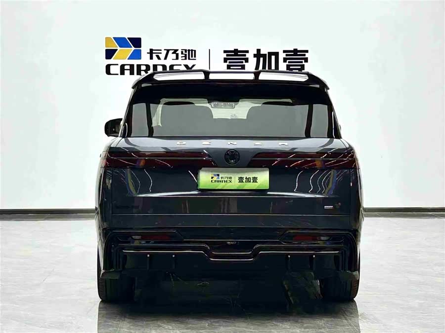 Denza N9 2025 car image #19