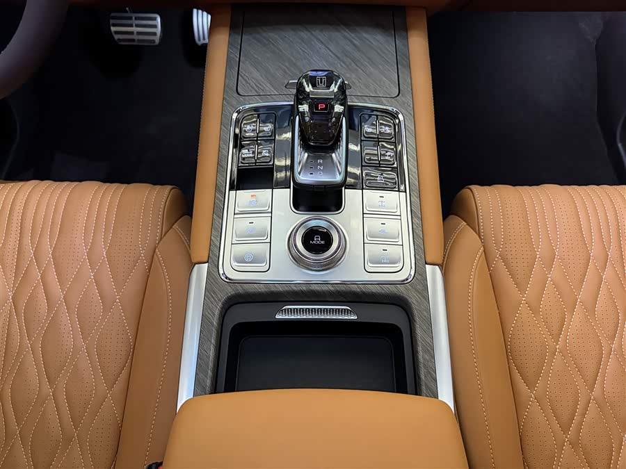 Tank 500 New Energy 2024 immagine di auto #19