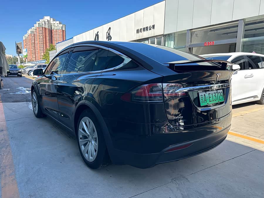 特斯拉 Model X 2019 汽车图片 #19