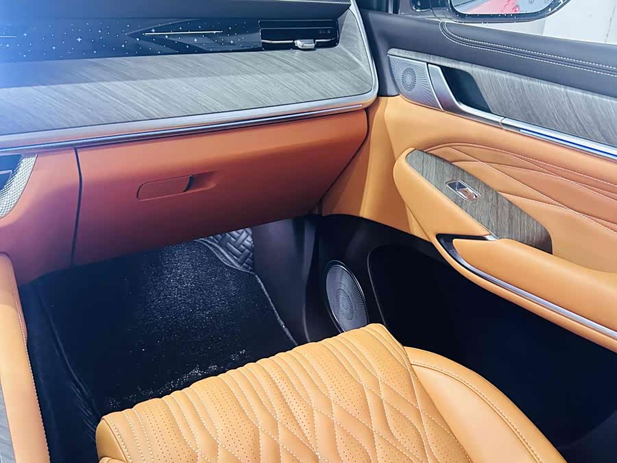 Tank 500 New Energy 2024 car image #19