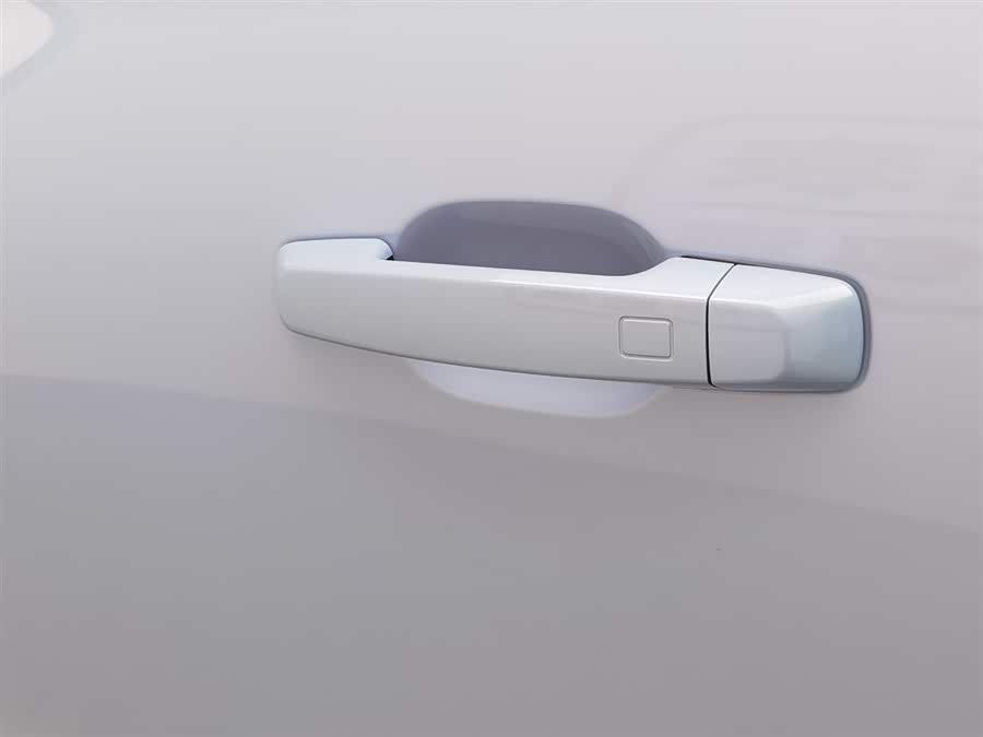 Tank 300 New Energy 2024 car image #19