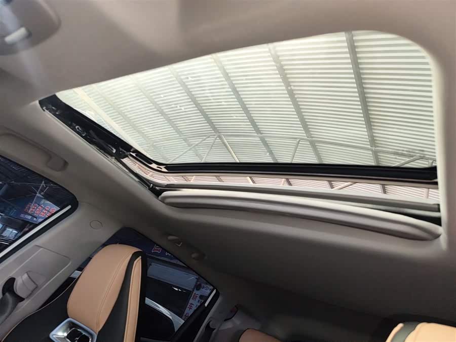 GEELY OkavangoPRO 2024 car image #19