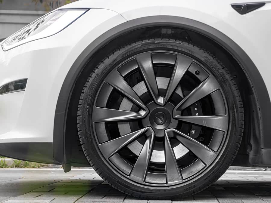 特斯拉 Model X 2023 汽车图片 #19