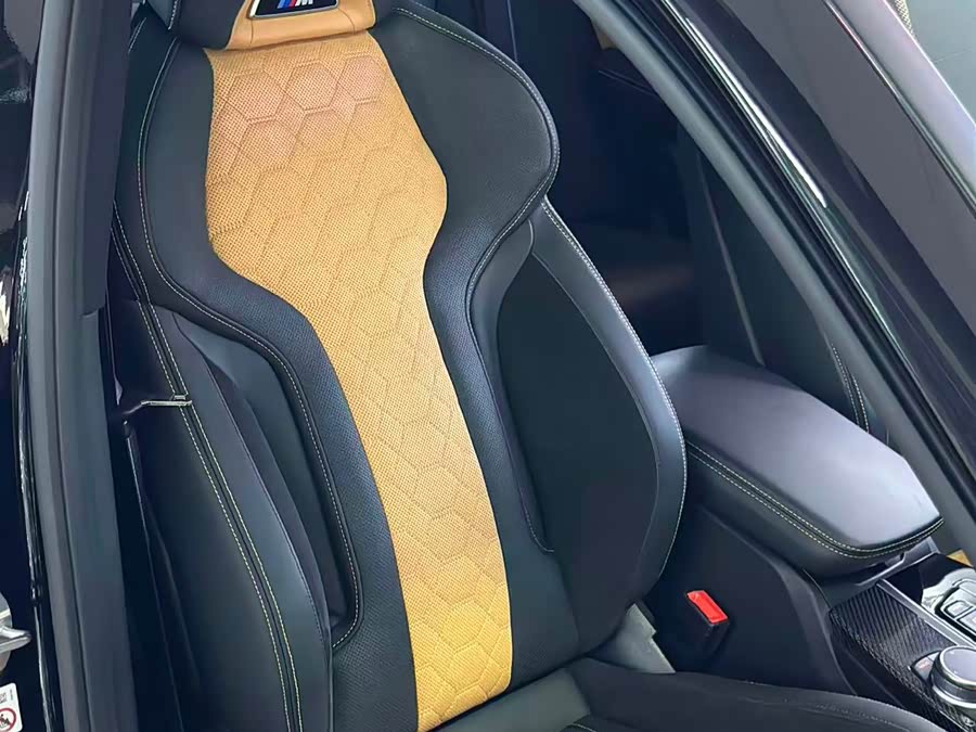 BMW X4 M 2020 immagine di auto #19