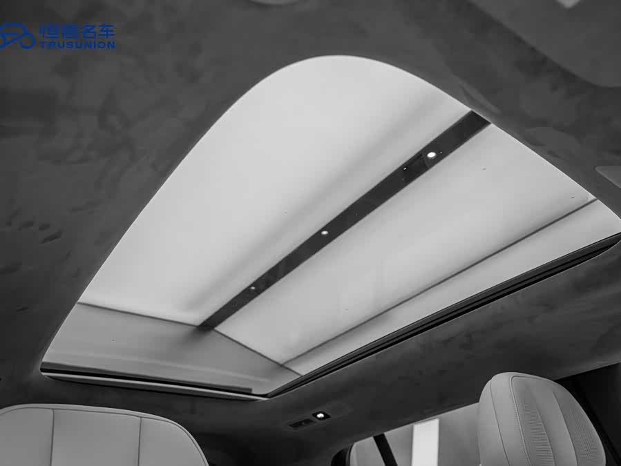 极氪 极氪MIX 2024 汽车图片 #19