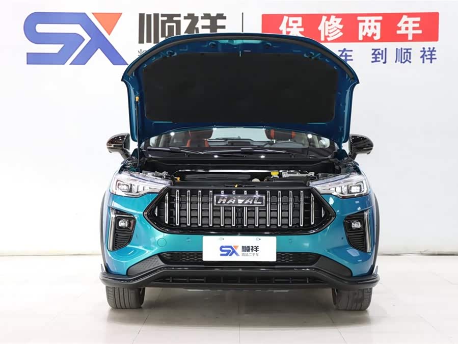 Haval Rabbit 2021 #19 Haval Rabbit 2021 car image #19