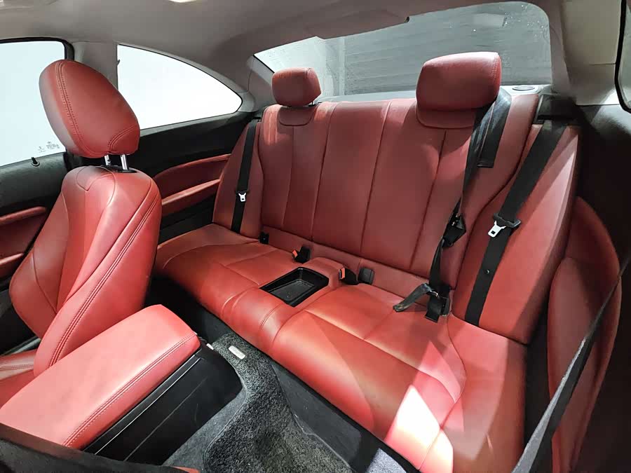 BMW 2 Series (Imported) 2021 #19 BMW 2 Series (Imported) 2021 car image #19