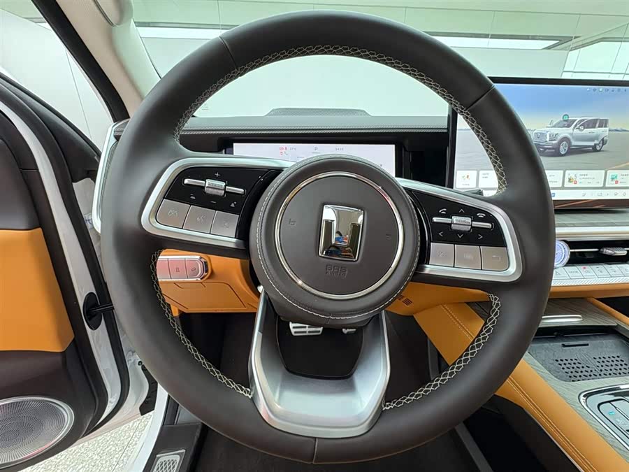 Tank 500 New Energy 2024 immagine di auto #19