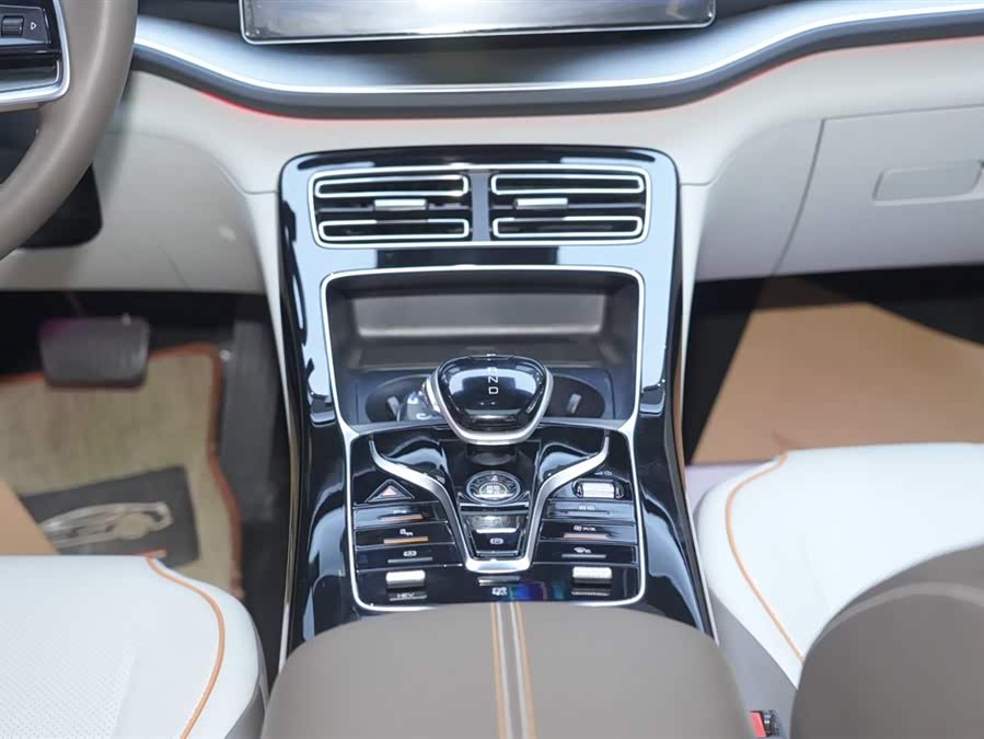 BYD Qin Plus 2024 immagine di auto #19